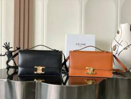 Picture of Celine Handbags _SKUfw230749136fw